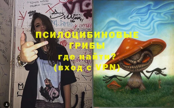 дурь Абаза