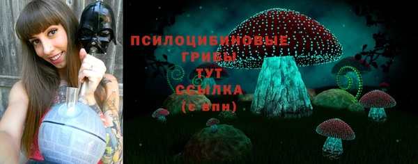 дурь Абаза